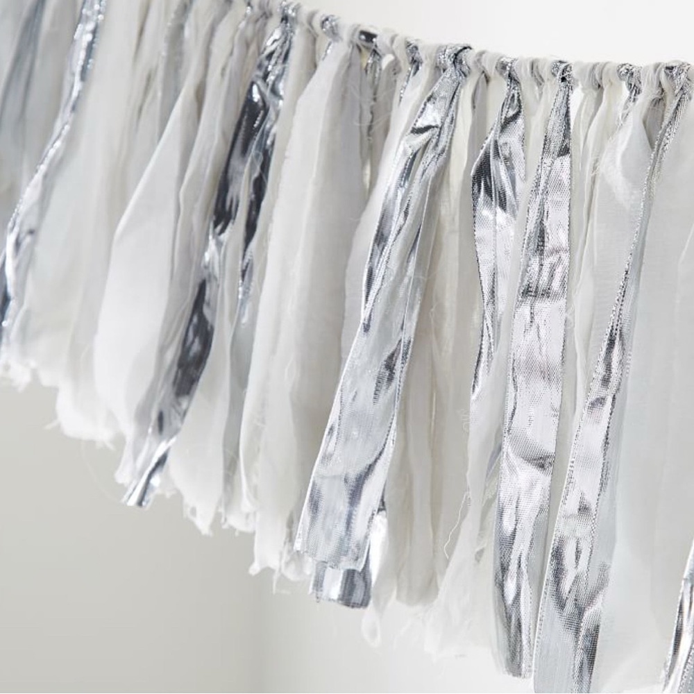 Pottery Barn Teen Metallic Fringe Garland x 2